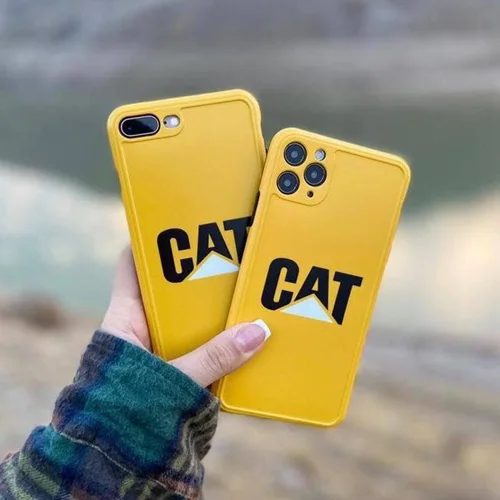 قاب کت